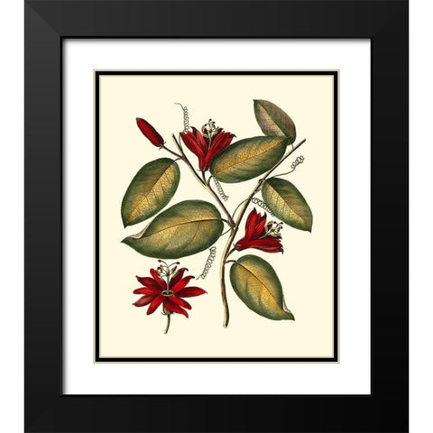 Jennas Flowers III Black Modern Wood Framed Art Print with Double Matting by Sellier