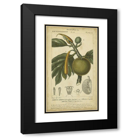 Exotic Botanica IV Black Modern Wood Framed Art Print with Double Matting by Turpin