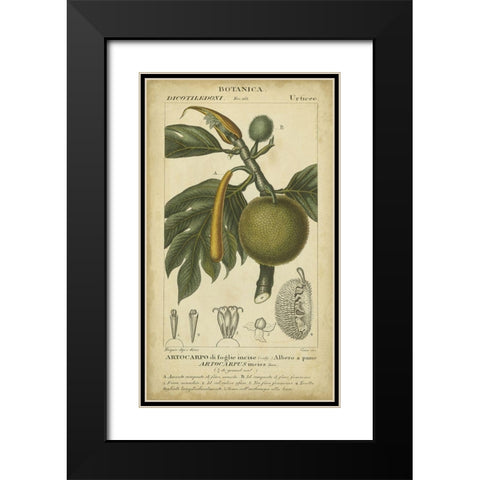 Exotic Botanica IV Black Modern Wood Framed Art Print with Double Matting by Turpin