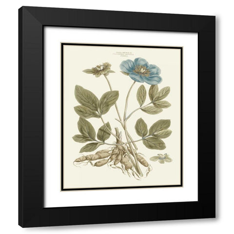 Bashful Blue Florals I Black Modern Wood Framed Art Print with Double Matting by Miller, John
