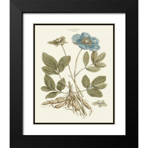 Bashful Blue Florals I Black Modern Wood Framed Art Print with Double Matting by Miller, John