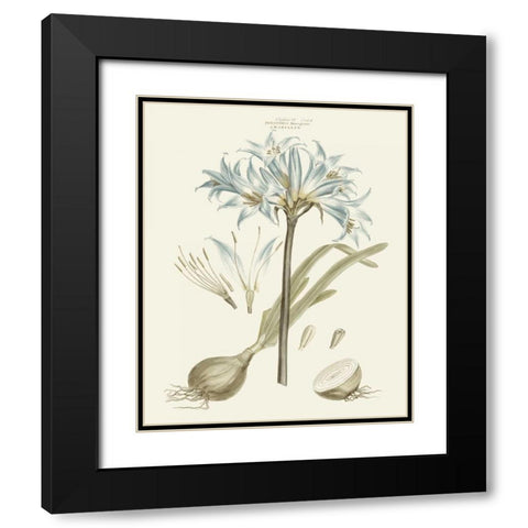 Bashful Blue Florals II Black Modern Wood Framed Art Print with Double Matting by Miller, John
