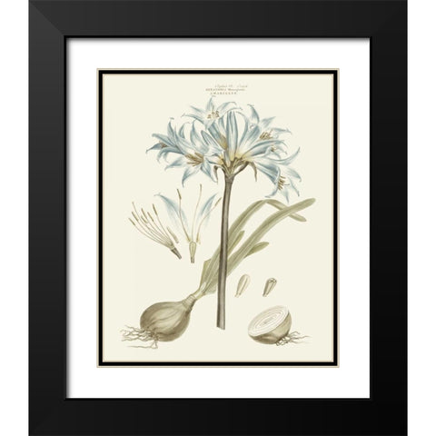 Bashful Blue Florals II Black Modern Wood Framed Art Print with Double Matting by Miller, John