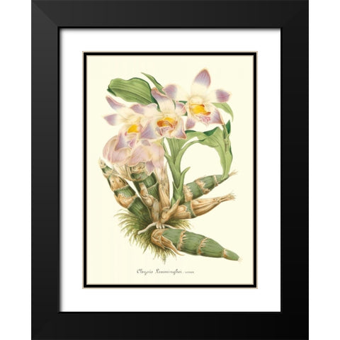 Lavender Orchids I Black Modern Wood Framed Art Print with Double Matting by Stroobant, P.
