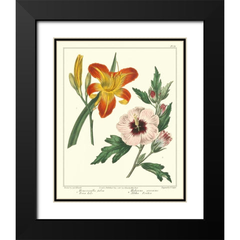Gardeners Delight IV Black Modern Wood Framed Art Print with Double Matting by Edwards, Sydenham