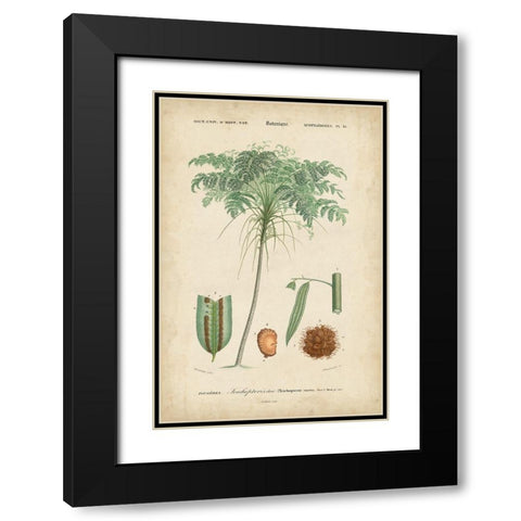 Tropical Botanique IV Black Modern Wood Framed Art Print with Double Matting by Vision Studio