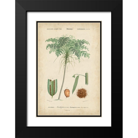 Tropical Botanique IV Black Modern Wood Framed Art Print with Double Matting by Vision Studio