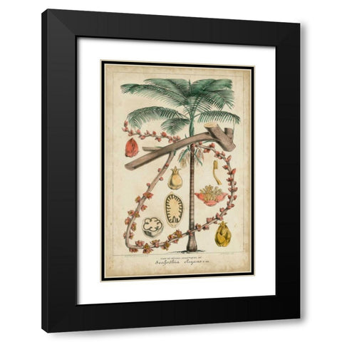Palma Exotica II Black Modern Wood Framed Art Print with Double Matting by Vision Studio