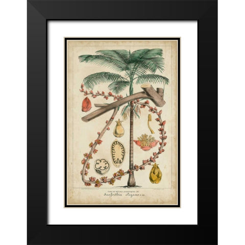Palma Exotica II Black Modern Wood Framed Art Print with Double Matting by Vision Studio