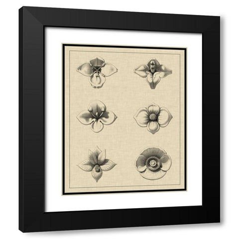 Floral Rosette IV Black Modern Wood Framed Art Print with Double Matting by Vision Studio