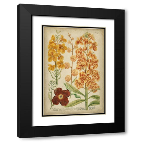 Weinmann Tropical Floral I Black Modern Wood Framed Art Print with Double Matting by Weinmann