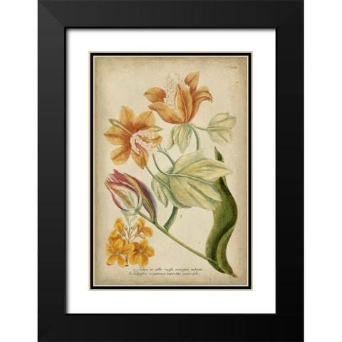 Weinmann Tropical Floral II Black Modern Wood Framed Art Print with Double Matting by Weinmann