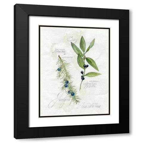 Bay Leaf and Juniper Black Modern Wood Framed Art Print with Double Matting by Della-Piana, Elissa