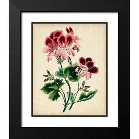 Natures Romance IV Black Modern Wood Framed Art Print with Double Matting by Vision Studio
