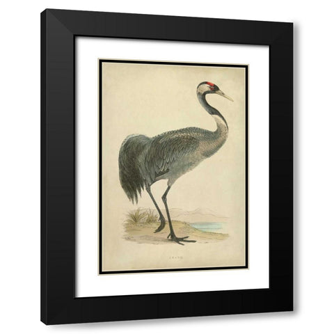Morris Crane I Black Modern Wood Framed Art Print with Double Matting by Morris