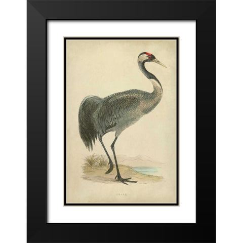 Morris Crane I Black Modern Wood Framed Art Print with Double Matting by Morris