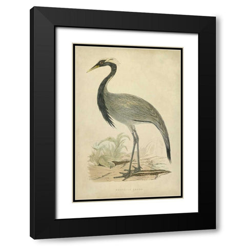 Morris Crane II Black Modern Wood Framed Art Print with Double Matting by Morris