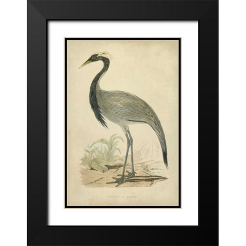 Morris Crane II Black Modern Wood Framed Art Print with Double Matting by Morris