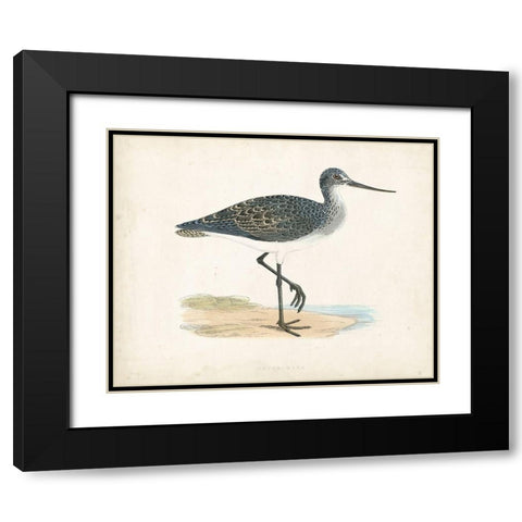 Morris Sandpiper III Black Modern Wood Framed Art Print with Double Matting by Morris