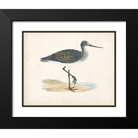Morris Sandpiper III Black Modern Wood Framed Art Print with Double Matting by Morris
