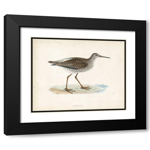 Morris Sandpiper V Black Modern Wood Framed Art Print with Double Matting by Morris