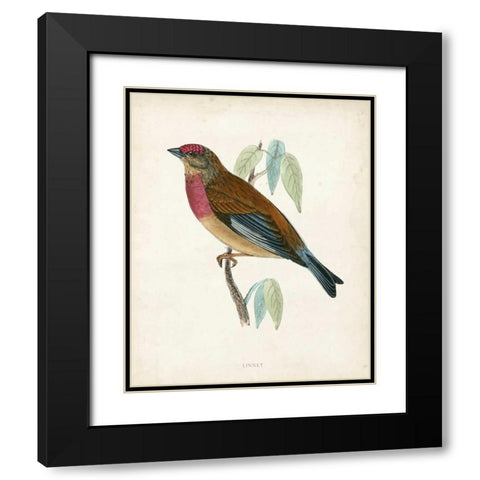 Morris Linnet Black Modern Wood Framed Art Print with Double Matting by Morris