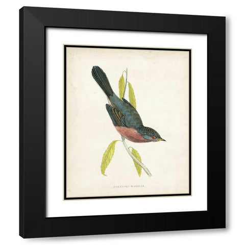 Morris Dartford Warbler Black Modern Wood Framed Art Print with Double Matting by Morris