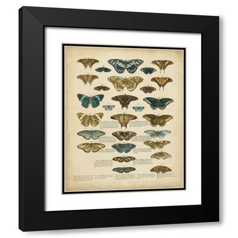 Tabula de Papilio Black Modern Wood Framed Art Print with Double Matting by Sloan