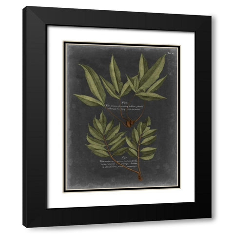 Foliage Dramatique IV Black Modern Wood Framed Art Print with Double Matting by Vision Studio