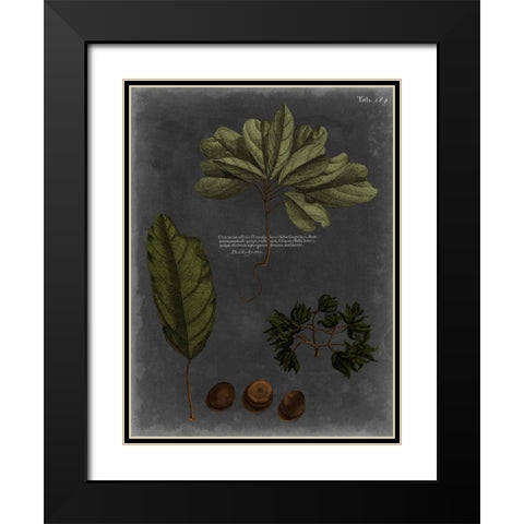 Foliage Dramatique VI Black Modern Wood Framed Art Print with Double Matting by Vision Studio