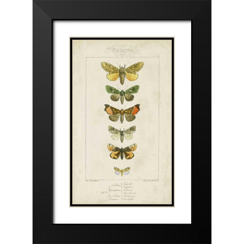 Pauquet Butterflies II Black Modern Wood Framed Art Print with Double Matting by Pauquet