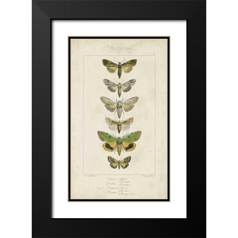 Pauquet Butterflies III Black Modern Wood Framed Art Print with Double Matting by Pauquet