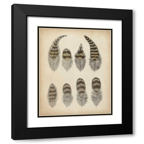 Vintage Feathers I Black Modern Wood Framed Art Print with Double Matting by Unknown