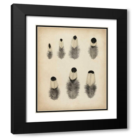 Vintage Feathers II Black Modern Wood Framed Art Print with Double Matting by Unknown
