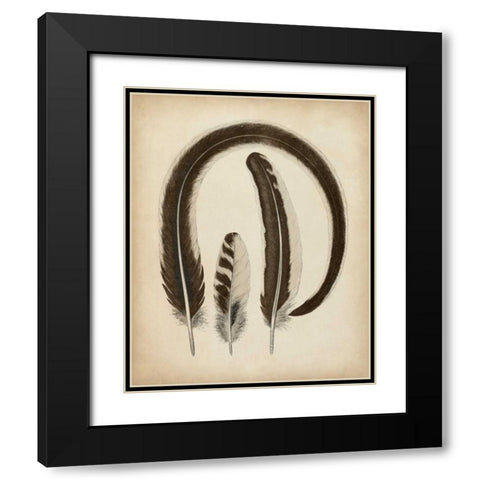 Vintage Feathers III Black Modern Wood Framed Art Print with Double Matting by Unknown