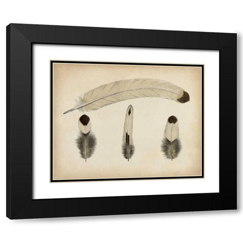 Vintage Feathers V Black Modern Wood Framed Art Print with Double Matting by Unknown