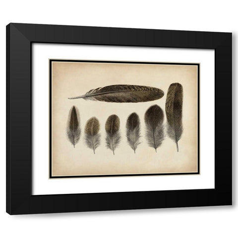 Vintage Feathers VI Black Modern Wood Framed Art Print with Double Matting by Unknown