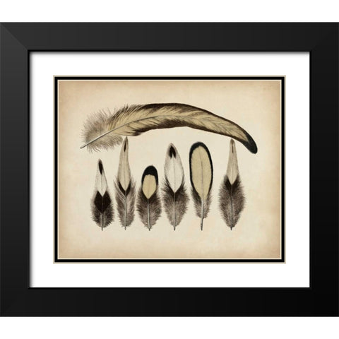 Vintage Feathers VII Black Modern Wood Framed Art Print with Double Matting by Unknown
