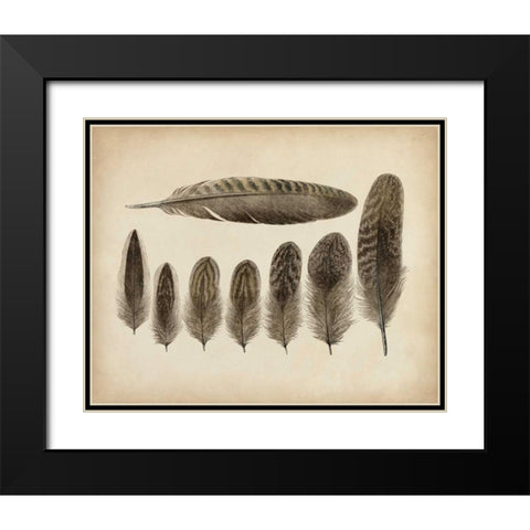 Vintage Feathers VIII Black Modern Wood Framed Art Print with Double Matting by Unknown