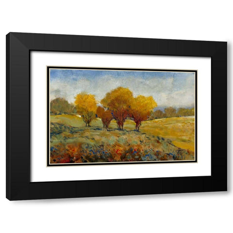 Vivid Brushstrokes I Black Modern Wood Framed Art Print with Double Matting by OToole, Tim
