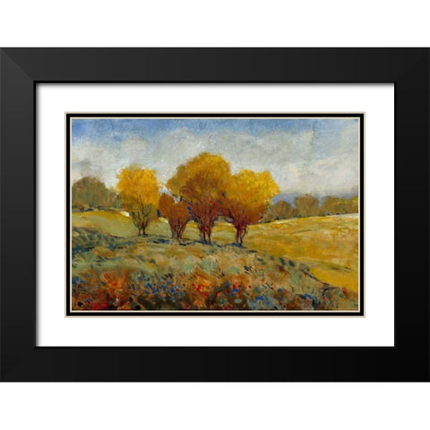 Vivid Brushstrokes I Black Modern Wood Framed Art Print with Double Matting by OToole, Tim