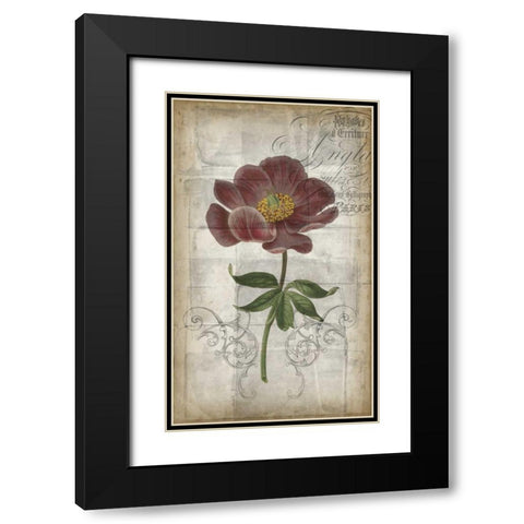 French Floral I Black Modern Wood Framed Art Print with Double Matting by Goldberger, Jennifer