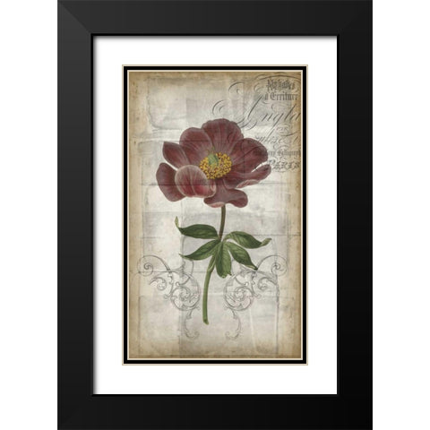 French Floral I Black Modern Wood Framed Art Print with Double Matting by Goldberger, Jennifer