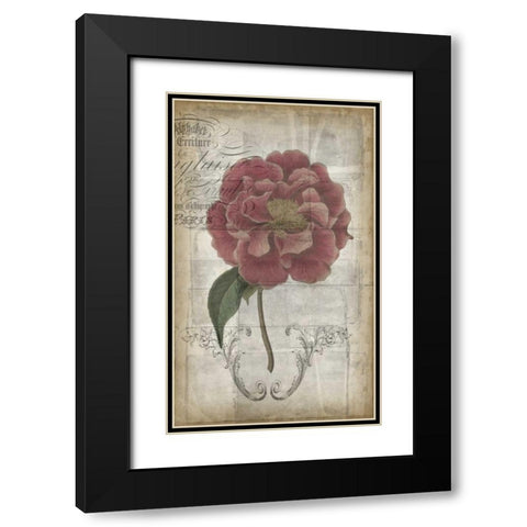 French Floral III Black Modern Wood Framed Art Print with Double Matting by Goldberger, Jennifer