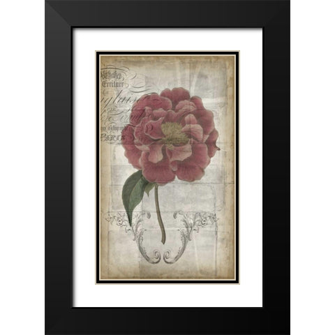 French Floral III Black Modern Wood Framed Art Print with Double Matting by Goldberger, Jennifer