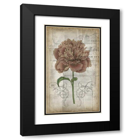 French Floral IV Black Modern Wood Framed Art Print with Double Matting by Goldberger, Jennifer