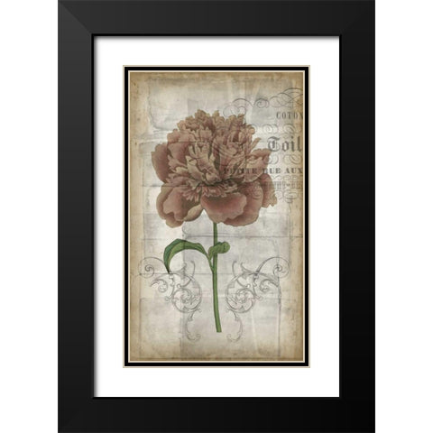 French Floral IV Black Modern Wood Framed Art Print with Double Matting by Goldberger, Jennifer