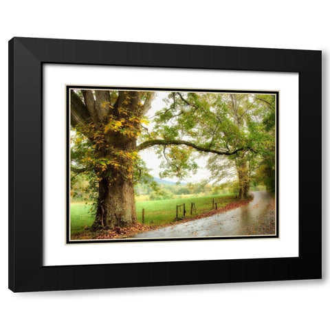 Wet Path Black Modern Wood Framed Art Print with Double Matting by Head, Danny