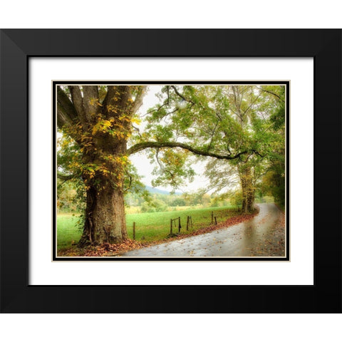 Wet Path Black Modern Wood Framed Art Print with Double Matting by Head, Danny