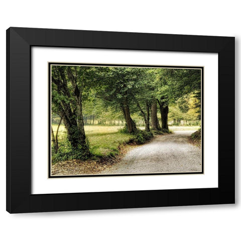 Path in the Country Black Modern Wood Framed Art Print with Double Matting by Head, Danny